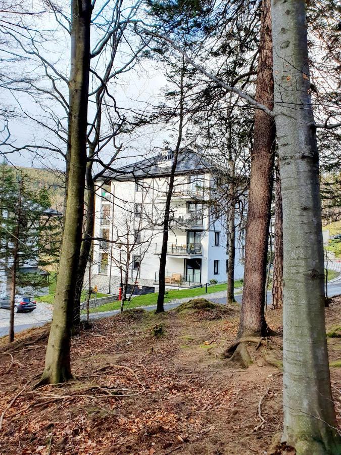 Apartament Wlochatka Z Sauna Finska Свєрадув-Здруй Екстер'єр фото