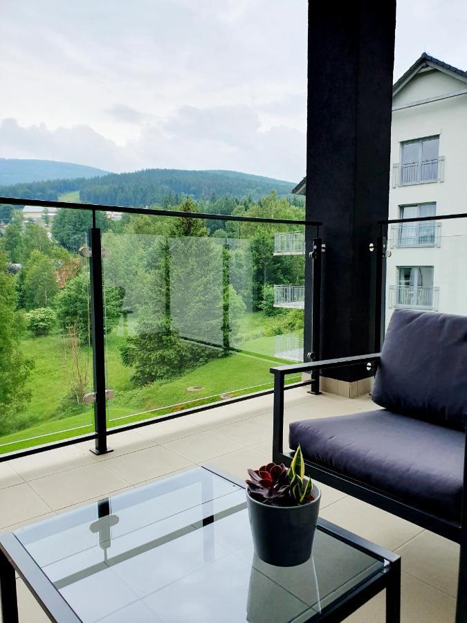 Apartament Wlochatka Z Sauna Finska Свєрадув-Здруй Екстер'єр фото